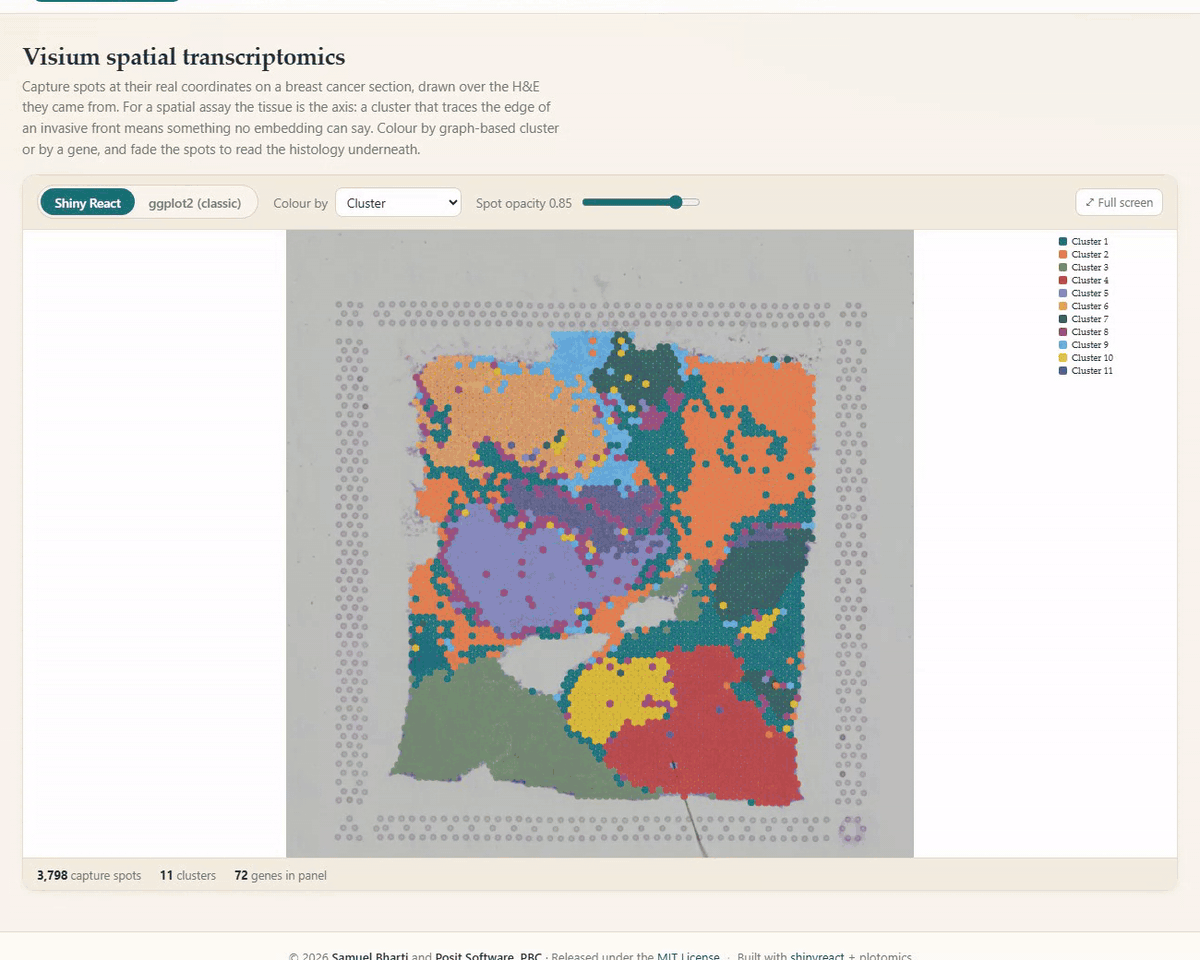 An animation of Plotomics Live. On the Visium spatial transcriptomics page, capture spots in eleven color-coded clusters sit over a breast cancer tissue section, above a footer reading 3,798 capture spots, 11 clusters, 72 genes in panel. The spot opacity slider fades the spots to show the H&E-stained tissue underneath, then brings them back. The coloring switches to ERBB2 expression, and the engine toggle swaps the Shiny React component for the ggplot2 (classic) image. The animation then moves to the Protein structure page, where the AlphaFold model of TP53, colored by pLDDT confidence, turns.